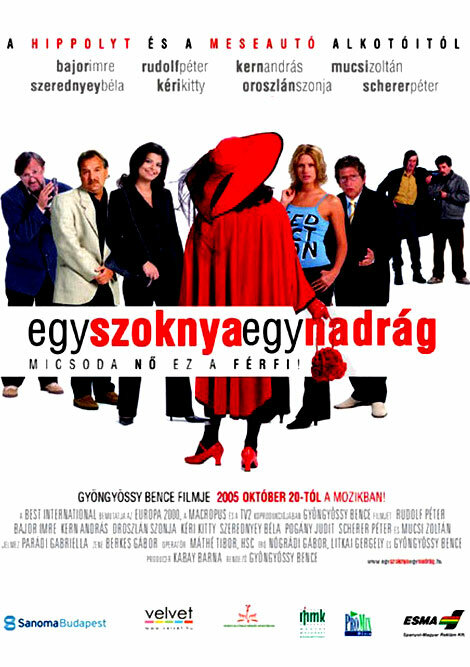 Одна юбка, одни брюки (2005) постер